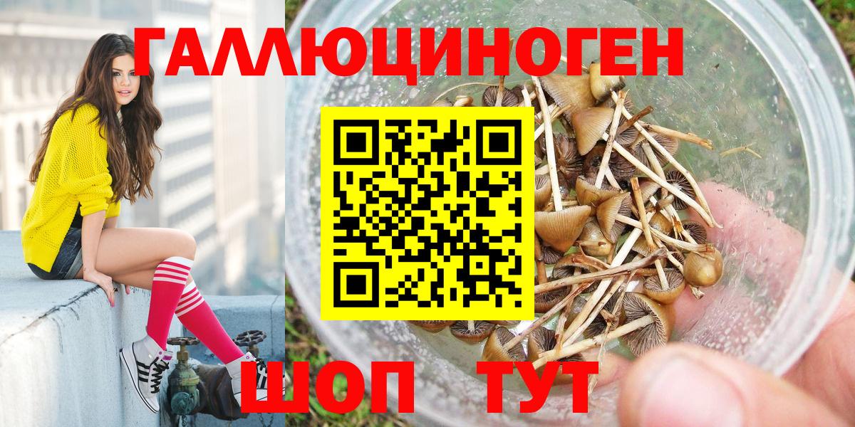 Артёмовский  Псилоцибиновые грибы Psilocybine cubensis  Вход с VPN  Псилоцибиновые грибы Psilocybine cubensis 