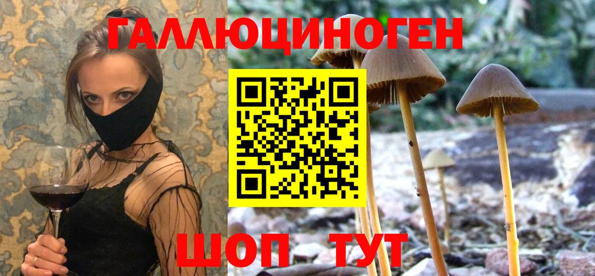 Псилоцибиновые грибы MAGIC MUSHROOMS Артёмовский